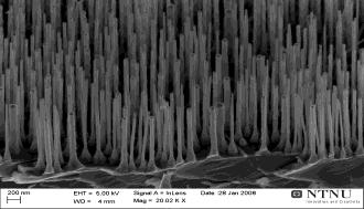 Waveguide propulsion on straight waveguide Waveguides made of Ta 2 O 5 (n = 2.1) Red blood cells: 6 µm/s (in sucrose), Polystyrene microparticles: 50 µm/s, Nanowires: > 500 µm/s!