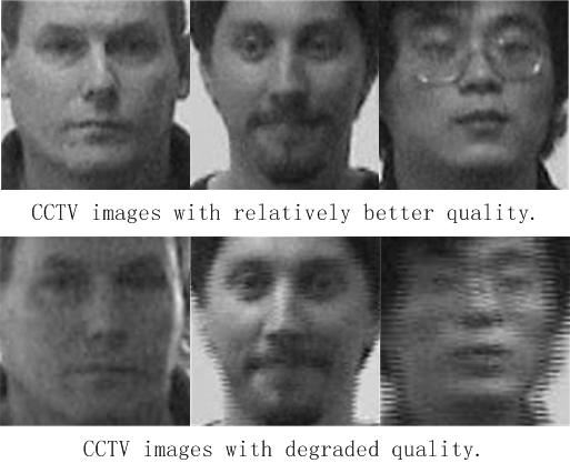 Figure 3 displays some normalised still face images captured by a digital video camera. Images captured by CCTV cameras, on the other hand, are of poor quality.