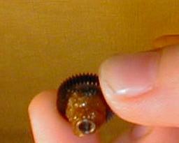 Sometimes the very small screws holding the motor are Philips and sometimes they are straignt or common screws.