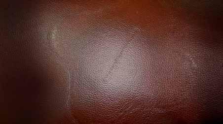 SIGNS OF GENUINE LEATHER Over time, a cow s hide, or surface grain, is subject to the varied markings of branding, veins, scars, wrinkles and bites.