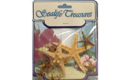 MIXED STARFISH W/HDR JEWELRY BOXES STYLES & SHAPES MAY VARY WHITE FINGER STARFISH