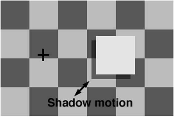 What is possible, however, is to remove the effect of the general viewpoint constraint by simply moving the object, as well as its cast shadow, in the image plane. 2.