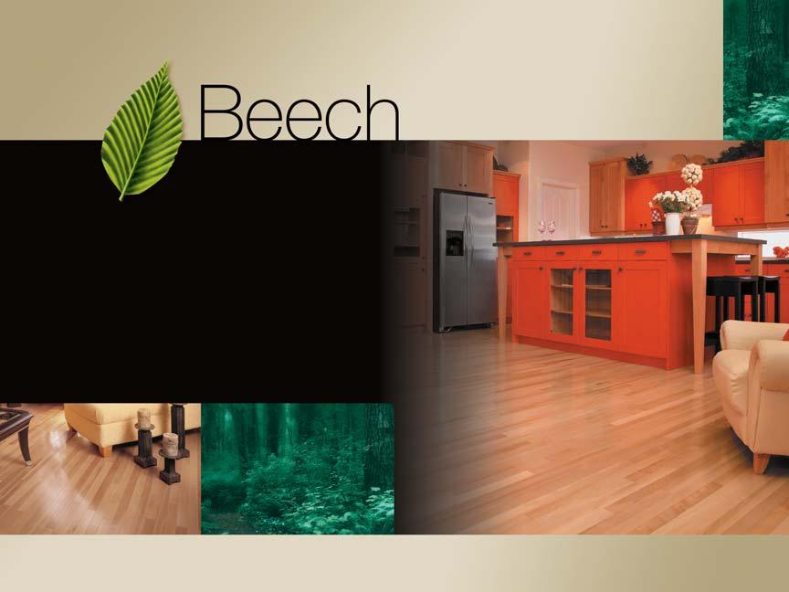 Create a pleasant atmosphere The subtle pinkish hues of a Beech hardwood floor are bound to