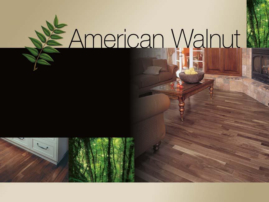 The very essence of refinement Walnut has a natural chocolaty hue with nuances that give it a rich,