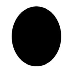 ) Draw an ellipse using the Elliptical Marquee tool and fill it with black color using the Paint Bucket tool, (on the same button as the Gradient