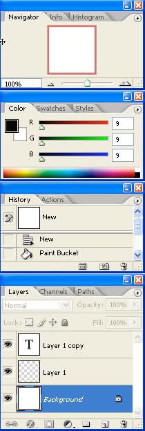 Using palettes Palettes help you monitor and modify images. By default, palettes appear stacked together in groups.