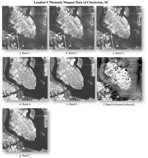 Seven Bands of Landsat Thematic Mapper Data of