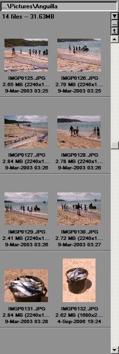 Applying Edits to Multiple Images Frequently all the images taken at the same time will require the same editing steps.