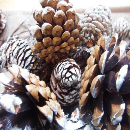 Step 28. Here is just a photo of the centre pine cone in place. Step 29.