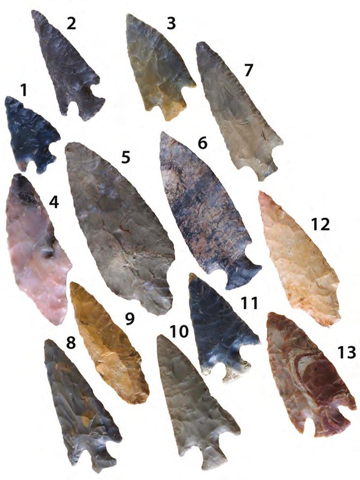 Projectile Points Projectile points are the chipped stone spear, dart or arrow tips that ancient peoples made. Researchers have found over 8,000 intact projectile points at Poverty Point.