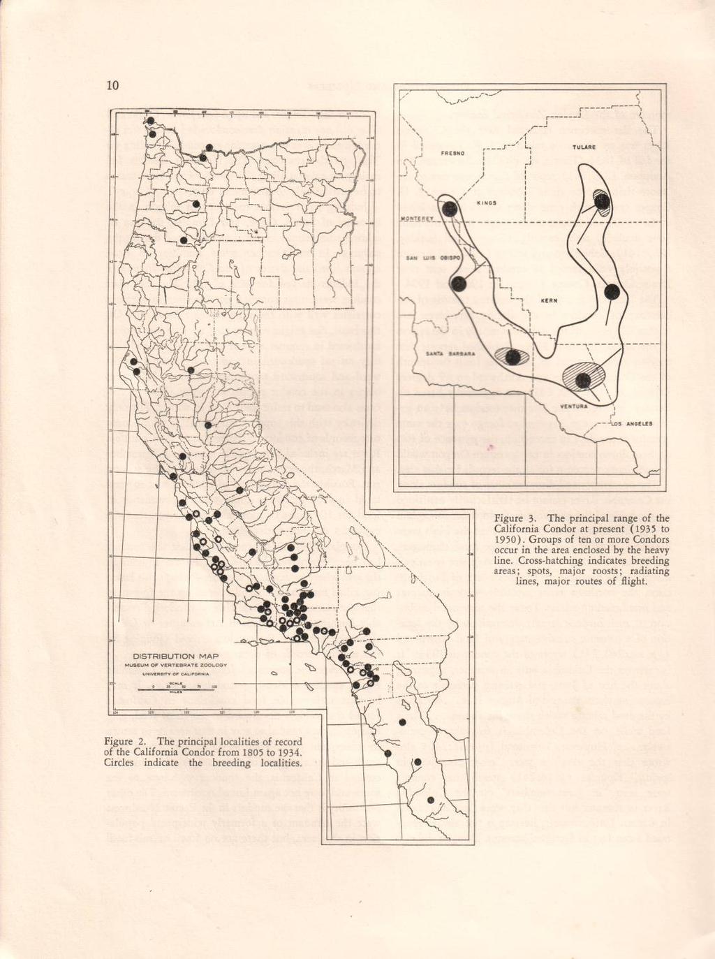 Figure 13. Condor map from Carl Koford s notes (1953, page 10).