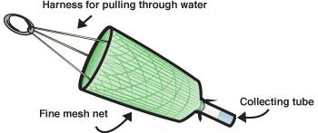 Netting to cover plants Used to include or exclude birds, insects, reptiles or mammals. The type of netting will be determined by its intended purpose.