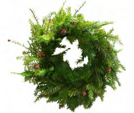 berries, two shapes of pine cones, cedar and myrtle. Mixed PE and PVC needle and accent construction. Natural and full design. Coordinating swag, teardrop and garland available. B50 KP76024WB 24" Dia.
