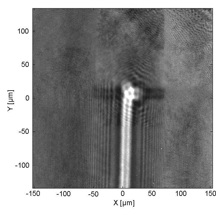 Fig. 2. Hologram read with an atomic force microscope. The image is composed by 9 sub scans to cover a total area 270 x 290 µm 2.