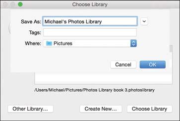 Creating and Working with Libraries 21 2. Click the Create New button. 3. Enter a name for your new library.