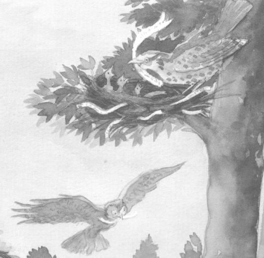 Out, over and beyond the city, tumbling and swooping in the sky until it was caught and held in the top most branches of a tree in the forest.