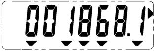 14 A1100 - Electronic Polyphase Meter 13.2 Display Modes The resolution of the display can be set at manufacture to 7, 6 or 5 digits.