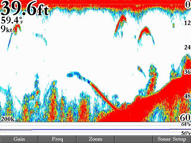 Using Sonar > Sonar Page Sonar Page The Sonar Page is where your GPSMAP 2106/2110 becomes a powerful fishfinder/flasher.