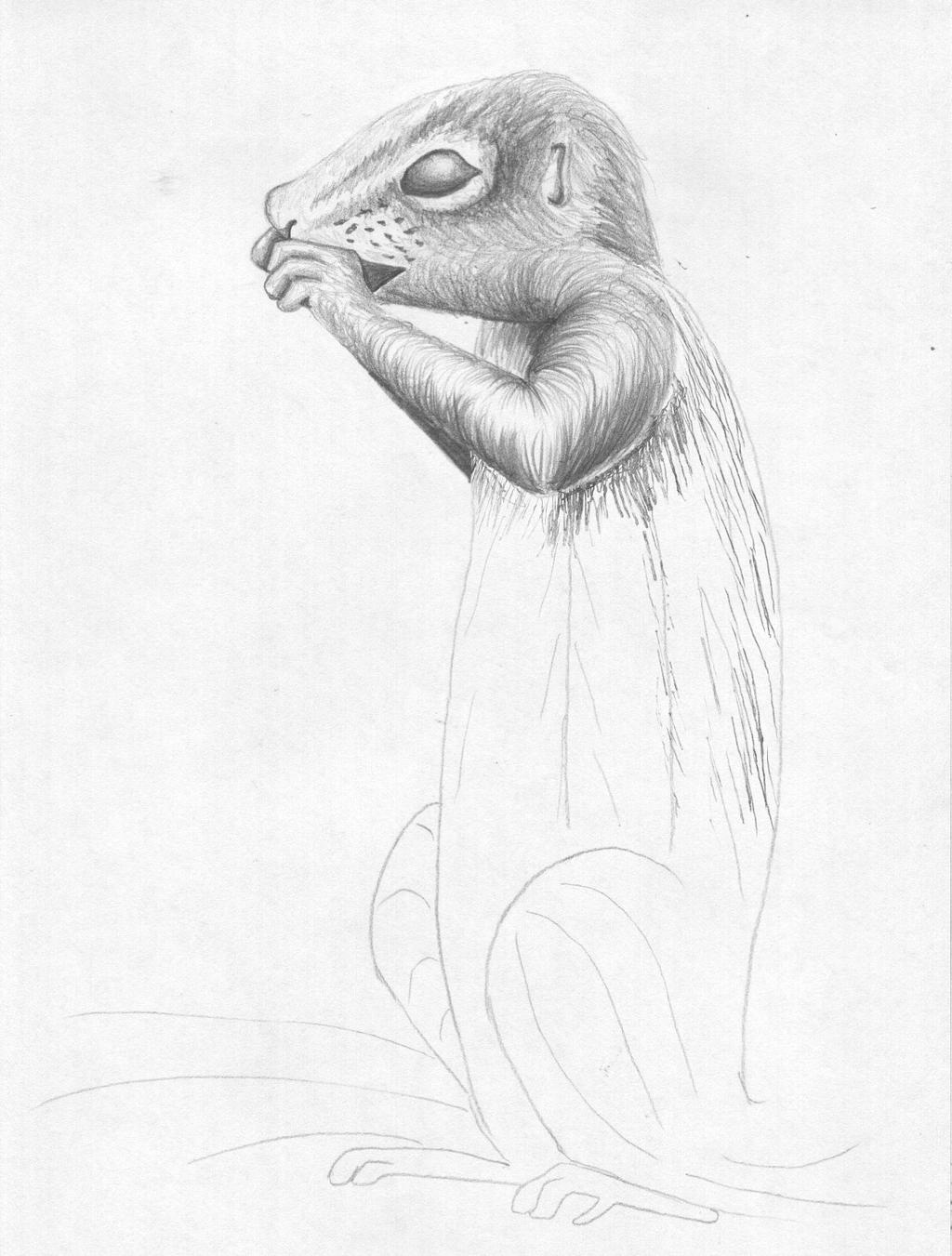 Step 7 Complete the hand and start to establish the directions on the body. Look very carefully to see where the directions of the hair change from left to right. Step 8 Complete the body.