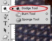 4.2 Using the Dodge Tool Next, select the Dodge Tool from the tools or just press O.