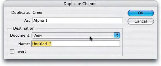 Step 3 DUPLICATE THE CHANNEL INTO ITS OWN SEPARATE DOCUMENT From the Channels palette s flyout menu, choose Duplicate Channel.
