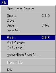 Print To print the image, click the Print button in the Print Preview window.
