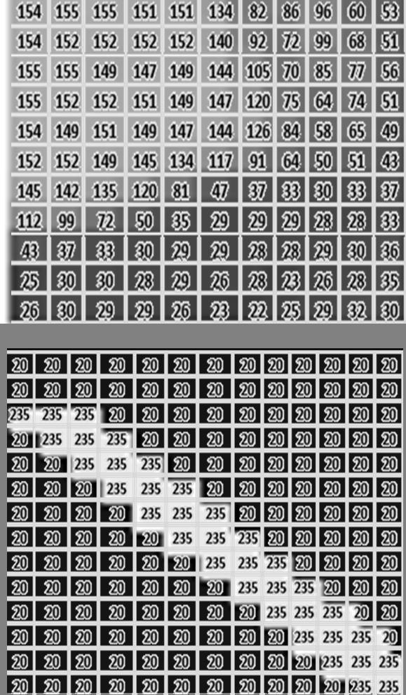17 the image into blocks that are repetitive, blocks composed of a single color and blocks that fall into neither of the above two categories, for efficient entropy encoding.