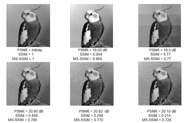 37 Figure 4.1: MS-SSIM, as a quality metric, is closer to subjective evaluation than PSNR and SSIM. From left-to-right starting across the top row, these images are 1. the original version [3] 2.