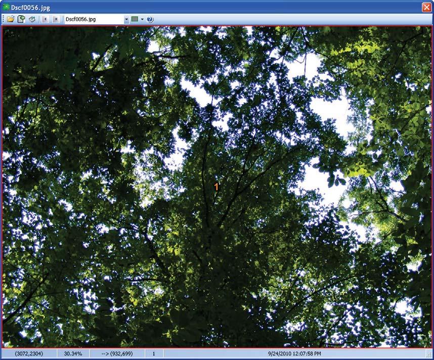 CANOPY ANALYSIS ForestCrowns can produce transparency estimates for canopy images taken with either standard or fisheye camera lenses.