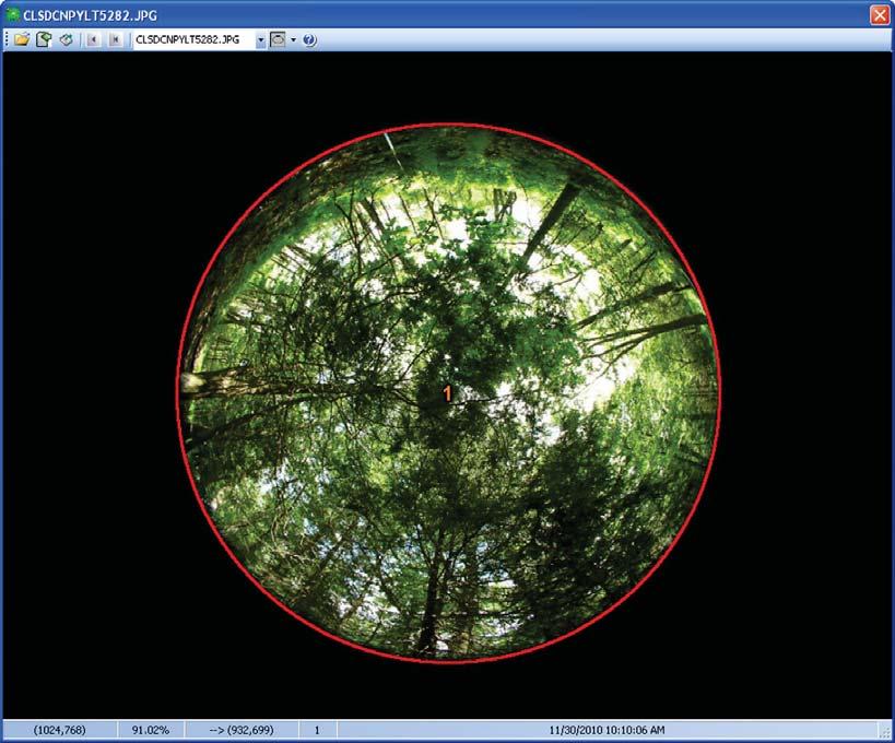 Figure 2. Example of a ForestCrowns canopy transparency analysis using a photo taken with a fisheye (hemispherical) camera lens. Calculated transparency is 13.8 percent.