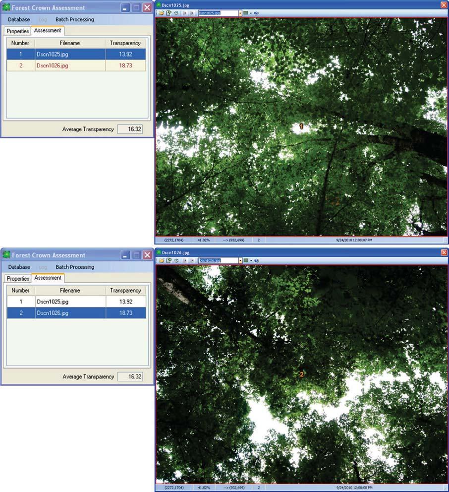 Figure 3. Example of using ForestCrowns to calculate collective canopy transparency from multiple photos. Average calculated transparency is 16.3 percent.