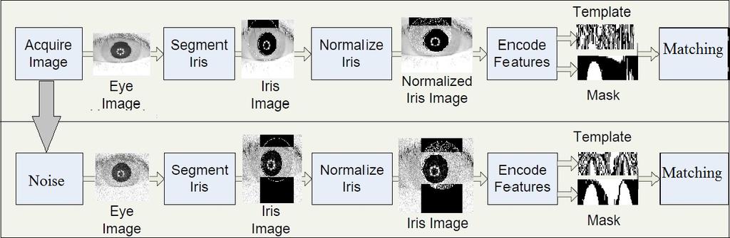 Figure 1: Overview of our proposed method. Figure 2: The process of adding noise. are a few iris databases which have sample images that are available free of charge to the public.