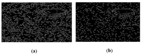 Gray Level Slicing, Negative and Scaling of an Image of Fig.2 2.5. Image Segmentation Method Image segmentation is the decomposition of a scene into its components for defining an object system.