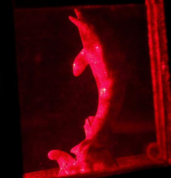 3 FIG. 5: A photograph of a hologram of a dolphin taken using the single exposure method. posed, there is a rubber band slightly deforming the can.