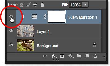 Clicking the Hue/Saturation adjustment layer's visibility icon.