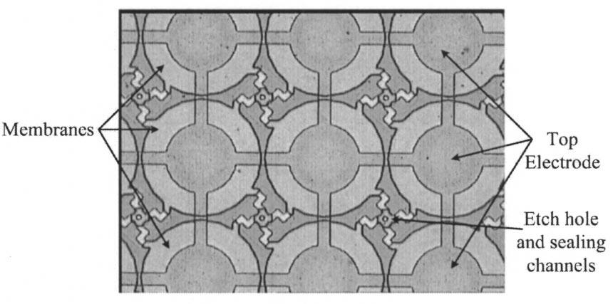 Fig. 7. Optical picture of actual device showing several membranes from top which are 100 m in diameter and the thicknesses are designed and processed accordingly.