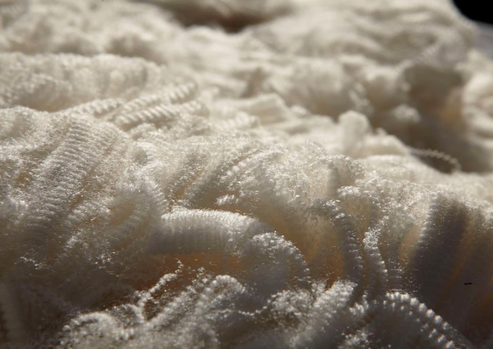 Temperature regulation The wool fibers grow in a natural wave pattern called crimp.