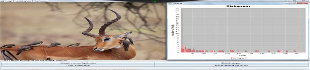 Initial image and its histogram. Choose the option Stepwise Linear Equalization.