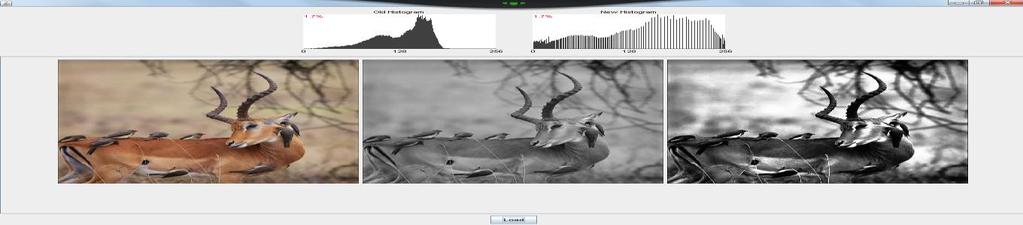Stepwise Linear Equalization of the image and its histogram. Choose the option Globalhistogram.