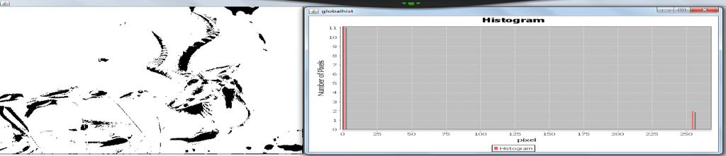 Global Histogram Equalization of the image and its histogram. Choose the option Linear Equalization.