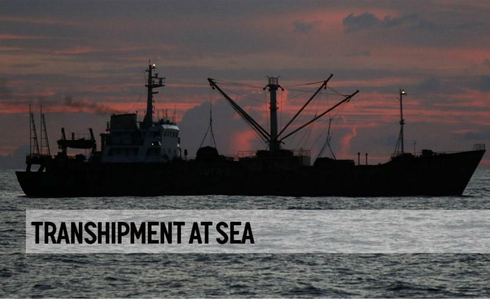 TRANSHIPMENT AT SEA Thai Unin and Greenpeace agree that transhipment presents a high risk pint within the tuna supply chain, particularly fr IUU fishing and labur abuses.