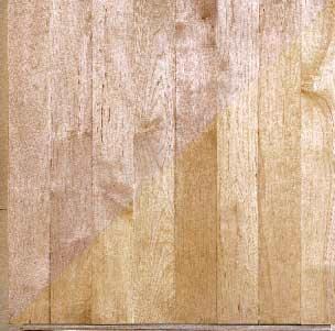 MAPLE, SUGAR/HARD Acer saccharum COLOR: Heartwood is creamy white to light reddish brown; sapwood is pale to creamy white. GRAIN: Closed, subdued grain, with medium figuring and uniform texture.