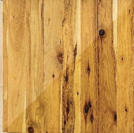 CYPRESS, AUSTRALIAN Callitris glauca COLOR: Cream-colored sapwood; heartwood is honey-gold to brown with darker knots throughout. GRAIN: Closed.