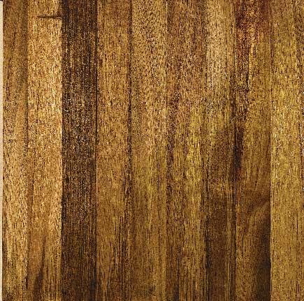 TEAK, THAI/BURMESE Tectona grandis COLOR: Heartwood varies from yellow-brown to dark golden brown; turns rich brown under exposure to sunlight. Sapwood is a lighter cream color.