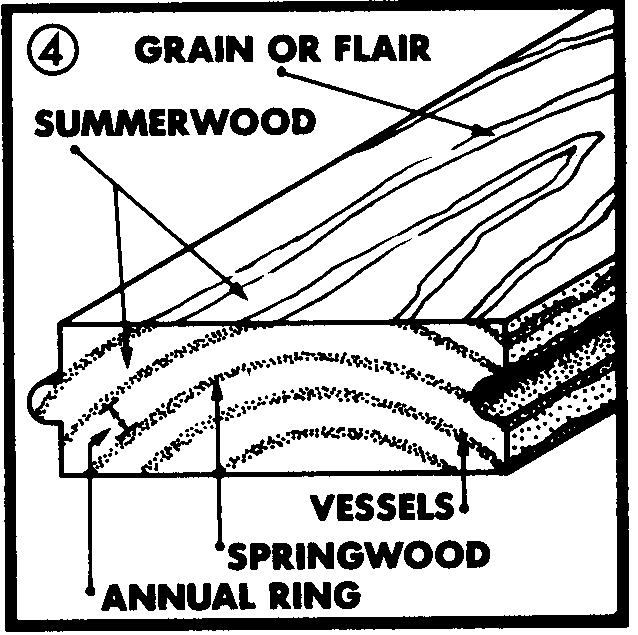 Wood grain terminology Annual rings: Most species grown in temperate climates produce visible annual growth rings that show the difference in density and color between wood formed early and that