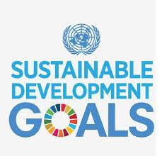 HOLIDAYS HOME WORK (2017-18) CLASS-III THEME : UNITED NATIONS SUSTAINABLE DEVELOPMENT GOALS United Nations proposed 2030 Agenda for sustainable development, which includes a set of 17 Sustainable
