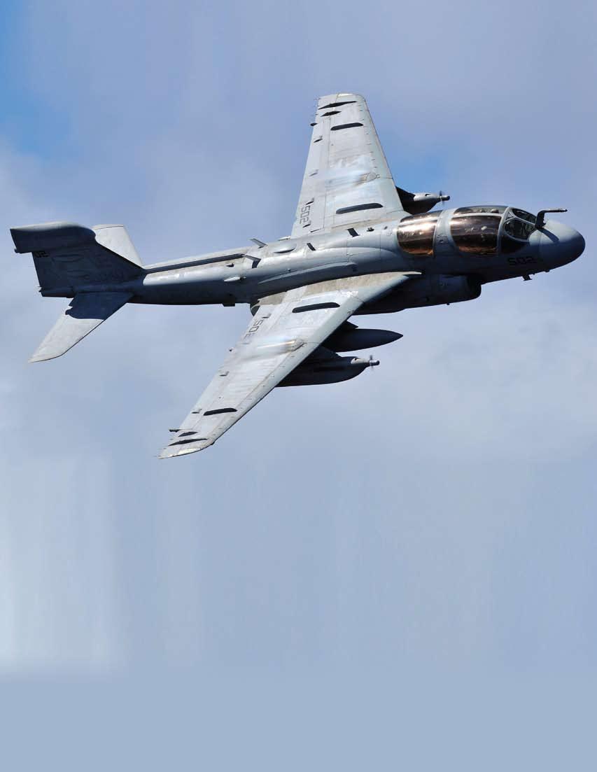 The EA-6B Prowler has been the principal electronic warfare aircraft in the joint fleet since the Cold War ended.