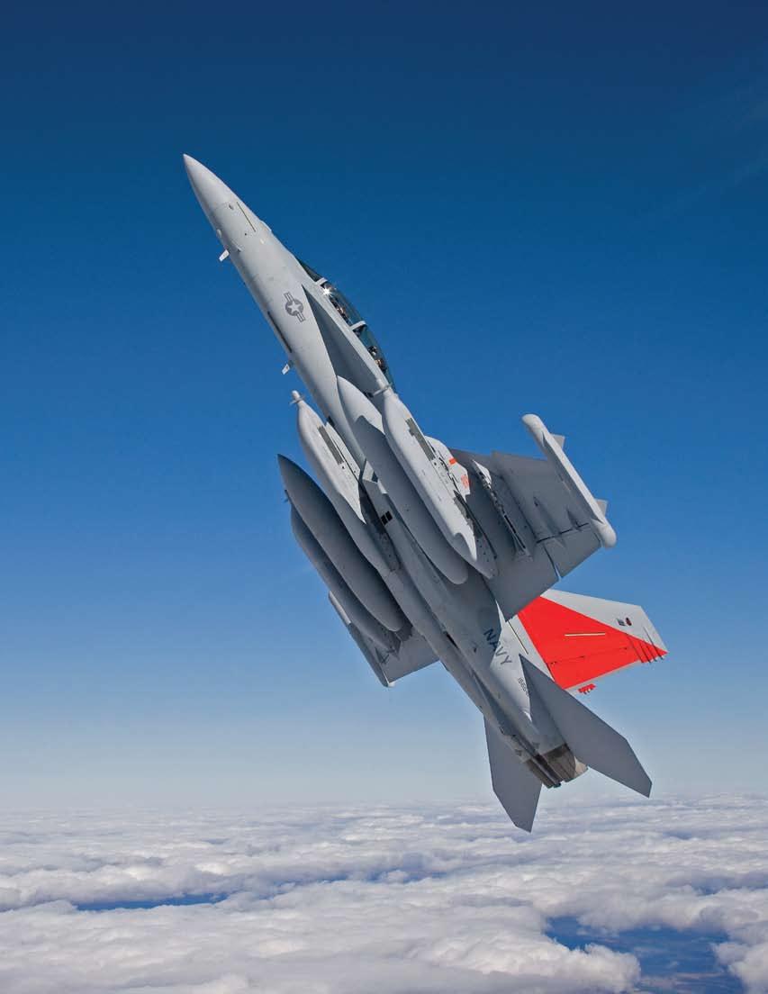 The EA-18G Growler will replace the Prowler as the main electronic warfare aircraft in the joint fleet.