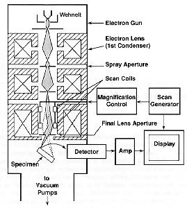 Figure 2. Scanning electron microscope column [1]. 1) Electron gun: Located at the top of the column where free electrons are generated by thermionic emission from a tungsten filament at ~2700K.