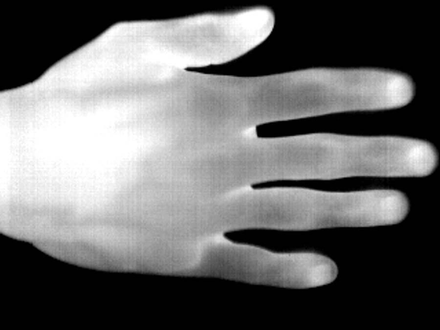 (a) (b) Figure 3. Far-Infrared image of the same hand at different time instances the palm; and the wrist.
